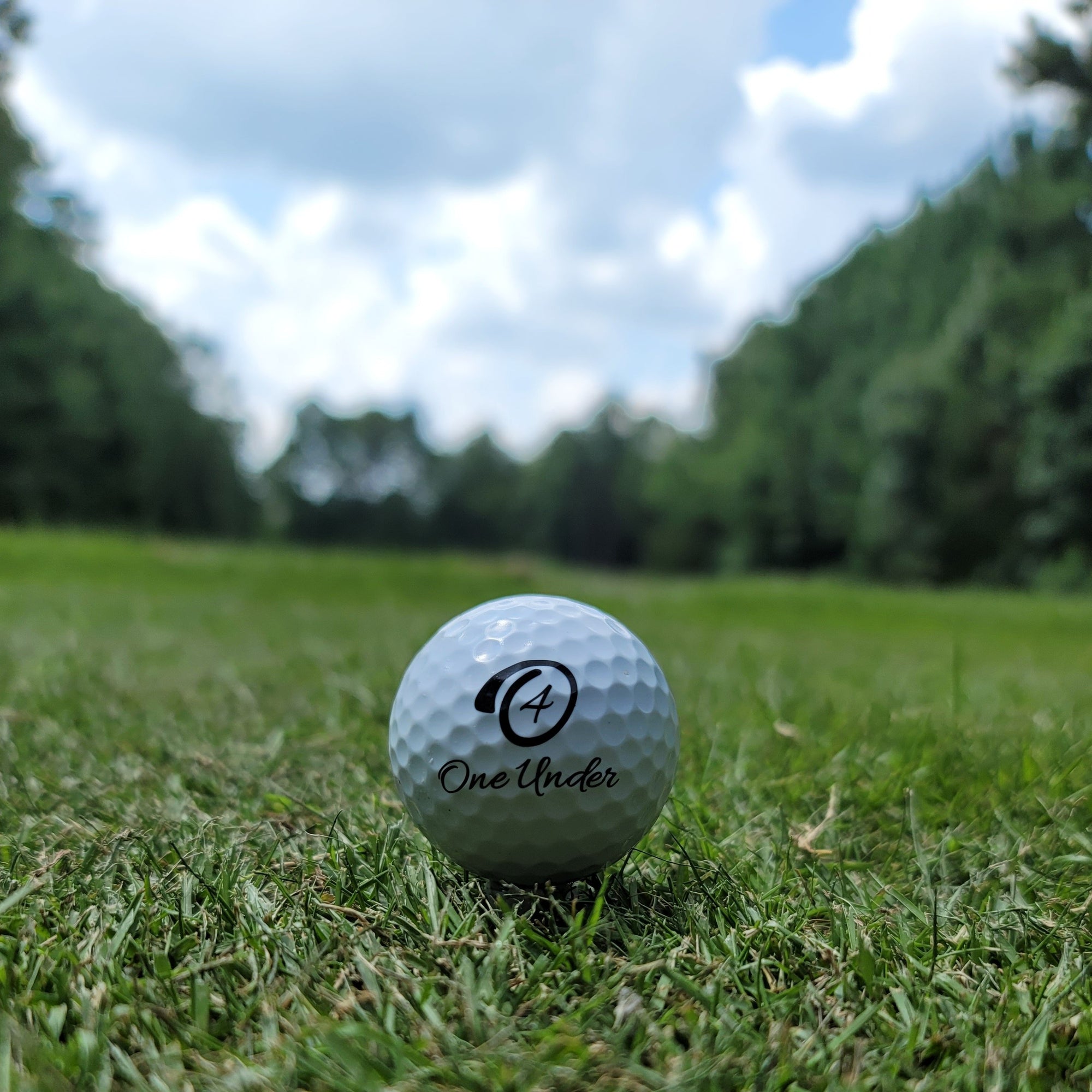 Dunk City Golf Ball One Under Golf